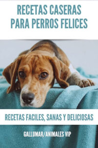 adoptar o comprar