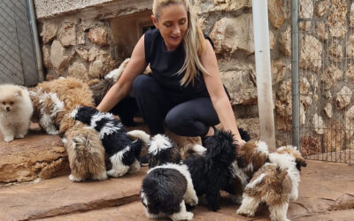 El vínculo entre perros y humanos es igual en el mundo